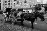 © Copyright - Raphael Kessler 2013 - USA - New York - Horse & cart