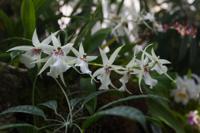 © Copyright - Raphael Kessler 2013 - USA - Washington DC - In the botanic gardens