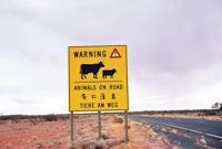 © Copyright Raphael Kessler - Australia - Animal sign
