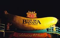 © Copyright - Raphael Kessler 2011 - Big Banana