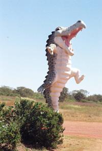 © Copyright Raphael Kessler - Australia - Big croc