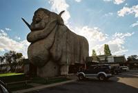 © Copyright Raphael Kessler - Australia - Big merino