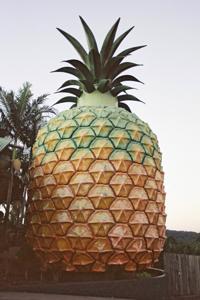 © Copyright Raphael Kessler - Australia - Big pineapple