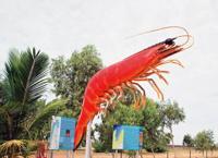 © Copyright Raphael Kessler - Australia - Big prawn