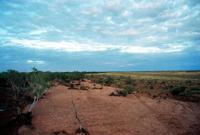 © Copyright Raphael Kessler - Australia - Blue sky