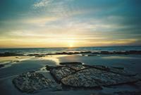 © Copyright Raphael Kessler - Australia - Bromme sundown