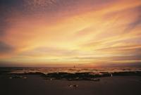 © Copyright Raphael Kessler - Australia - Broome set sail
