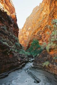 © Copyright Raphael Kessler  - Australia - Bungle Bungles  Rocks