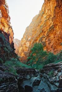 © Copyright - Raphael Kessler  - Australia - Bungle Bungles