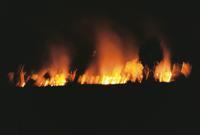 © Copyright Raphael Kessler - Australia - Bush fire