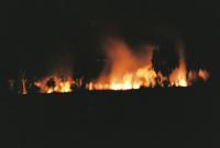 © Copyright Raphael Kessler - Australia - Bush fire