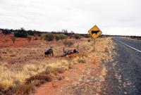 © Copyright Raphael Kessler - Australia - Don?t hit me