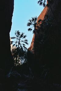 © Copyright - Raphael Kessler 2011 - Echidna Chasm