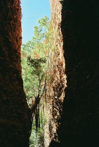 © Copyright - Raphael Kessler 2011 - Echidna Chasm