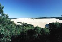 © Copyright - Raphael Kessler 2011 - Fraser Island - Knifeblade