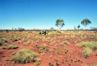 © Copyright Raphael Kessler - Australia - Landy