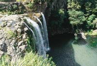 © Copyright Raphael Kessler - Australia - Litchfield