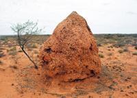 © Copyright Raphael Kessler - Australia - Mound 2
