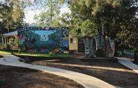 © Copyright - Raphael Kessler 2011 - Nimbin