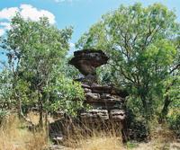 © Copyright - Raphael Kessler 2011 - Fraser Island - Pinnacle