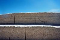 © Copyright - Raphael Kessler 2011 - Australia - © Copyright - Raphael Kessler 2011 - Australia - Shell beach