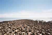 © Copyright - Raphael Kessler 2011 - Stromatolites