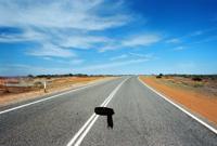 © Copyright Raphael Kessler - Australia - Tyre