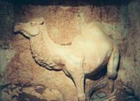 © Copyright - Raphael Kessler 2011 - Coober Pedy Museum