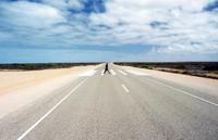 © Copyright Raphael Kessler - Australia - Zebra