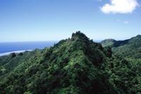 © Copyright Raphael Kessler -  Cook Islands  - Needle