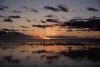 © Copyright - Raphael Kessler 2011 - Cook Islands - Rarotonga - Sunset on the beach whilst dogs go fishing