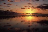 © Copyright - Raphael Kessler 2011 - Cook Islands - Rarotonga - Sunset on the beach whilst dogs go fishing