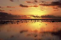 © Copyright - Raphael Kessler 2011 - Cook Islands - Rarotonga - Sunset on the beach whilst dogs go fishing