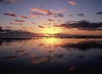 © Copyright - Raphael Kessler 2011 - Cook Islands - Rarotonga - Sunset on the beach whilst dogs go fishing