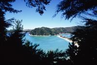 © Copyright - Raphael Kessler 2011 - New Zealand - Abel Tasman - sea and trees