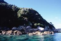 © Copyright - Raphael Kessler 2011 - New Zealand - Abel Tasman national park