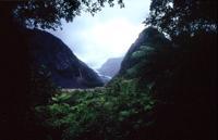 © Copyright Raphael Kessler 2011 - New Zealand - Franz Josef glacier