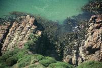 © Copyright Raphael Kessler - New Zealand - Kelpsea