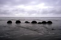 © Copyright Raphael Kessler 2011 - New Zealand - Moeraki Boulders - In a row