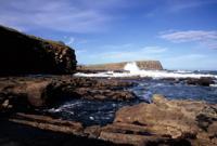 © Copyright - Raphael Kessler 2011 - New Zealand  - Coast