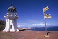 © Copyright Raphael Kessler - New Zealand - Northpoint