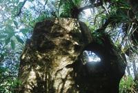 © Copyright Raphael Kessler - New Zealand - Outsidewormcave