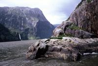 © Copyright Raphael Kessler - New Zealand - Seals