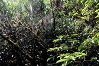 © Copyright Raphael Kessler 2011 - New Zealand - Catlins - spiders