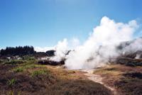 © Copyright Raphael Kessler - New Zealand - Steamcolumns