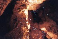 © Copyright Raphael Kessler 2011 - New Zealand - The glow worm cave