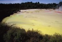 © Copyright Raphael Kessler - New Zealand - Yellowpond