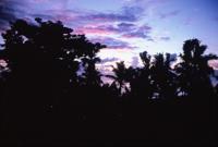 © Copyright - Raphael Kessler 2011 - Niue - sunset