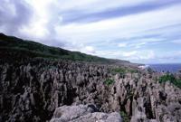 © Copyright - Raphael Kessler 2011 - Niue - Togo rocky pinacles along the shoreline