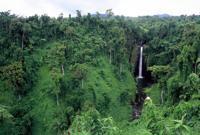 © Copyright - Raphael Kessler 2011 - Samoa - Idyllic waterfalls in the rainforest